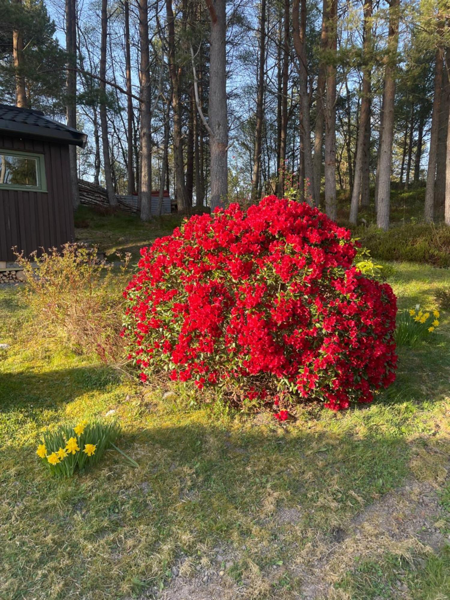 Hytte I Naturskjonne Omgivelser Sofstad Exterior photo