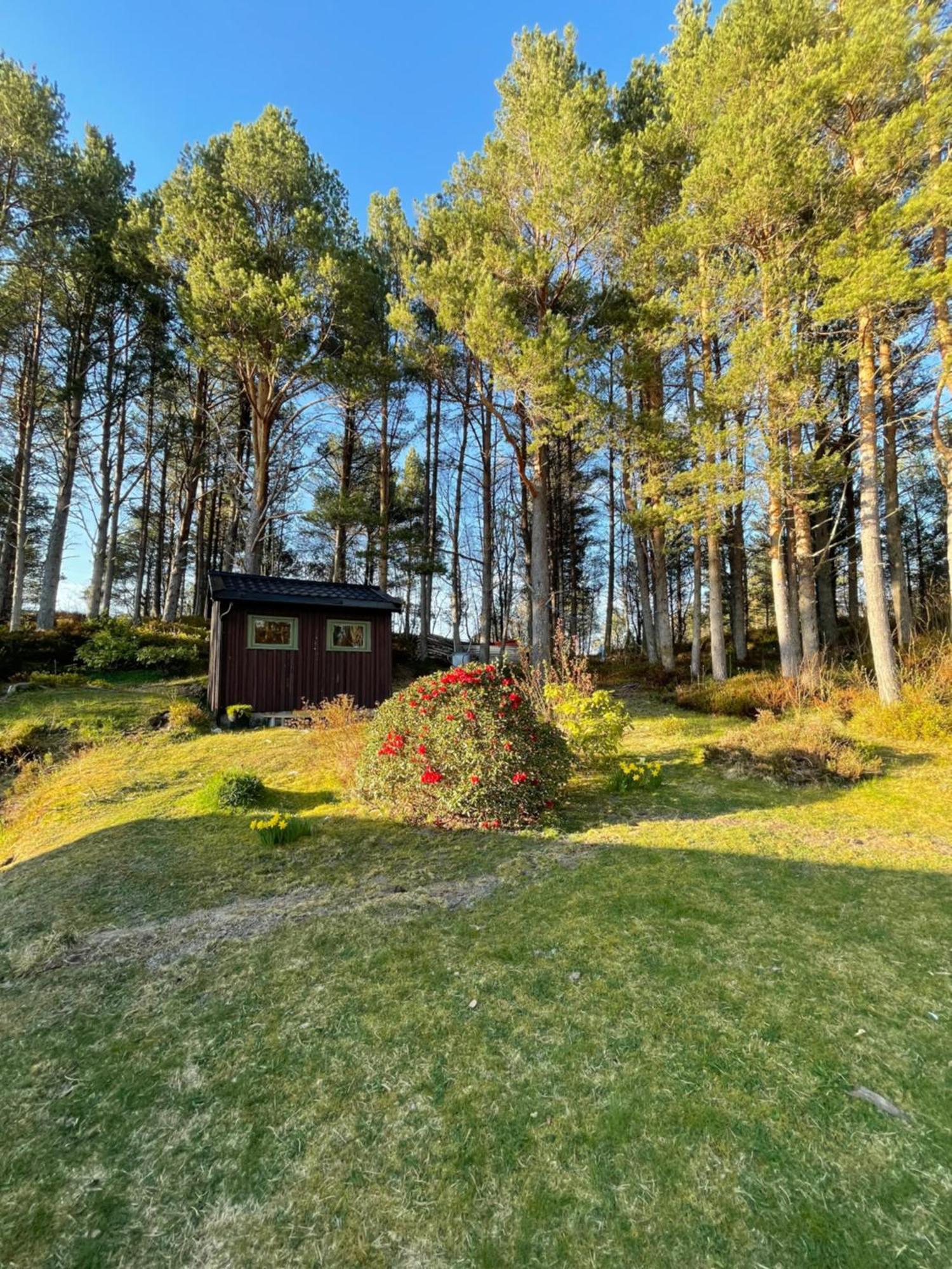 Hytte I Naturskjonne Omgivelser Sofstad Exterior photo
